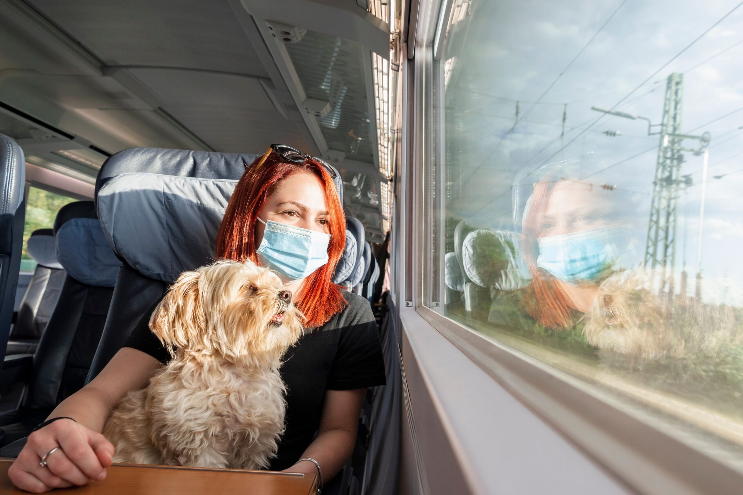 Traveling with Pets by Train Tips for Pet-Friendly Adventures